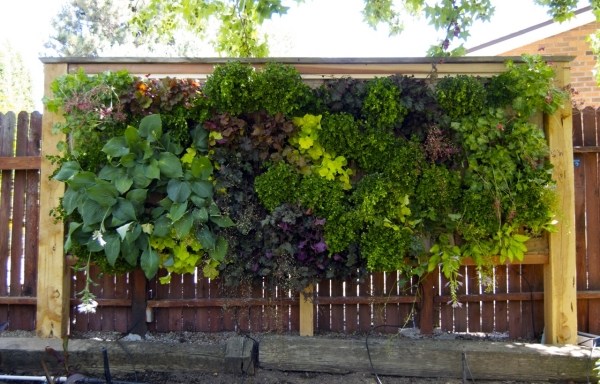 vertical-green-wall-fence-privacy-protection 