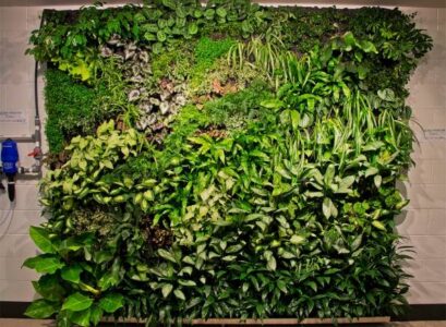 vertical-gardens-green-wall-green-oasis-indoor-design