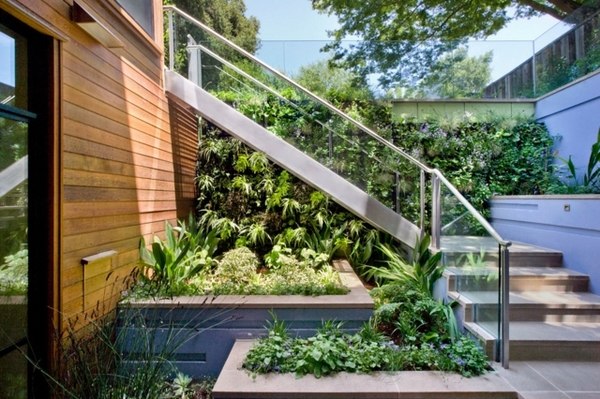 vertical greening evergreen plants privacy ideas