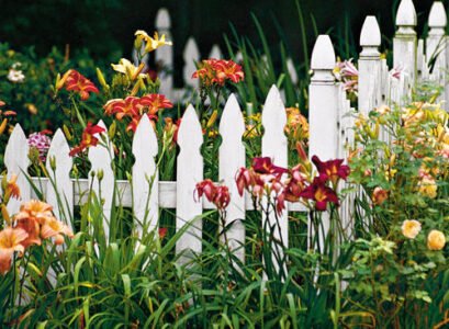 white-picket-fence-garden-contrast-colorful-flowers
