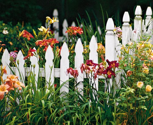 white-picket-fence-garden-contrast-colorful-flowers