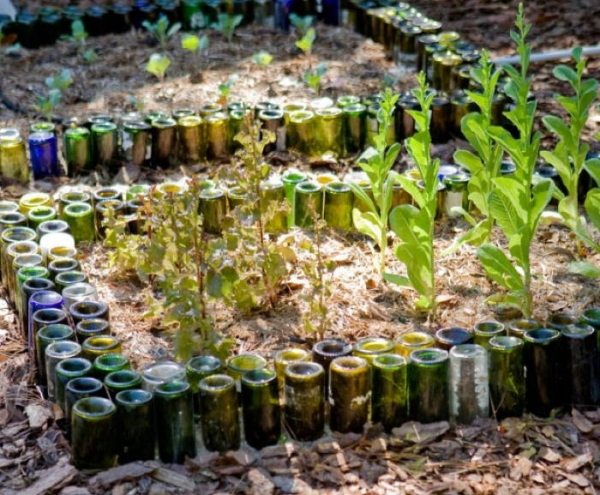 wine bottles garden border