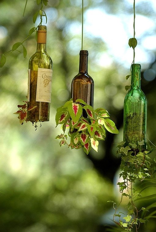 bottles in the garden decoration plant hanging
