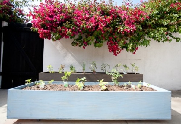 wooden box mini garden ideas DIY planters