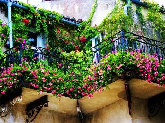 Balcony decorative plants facade greening