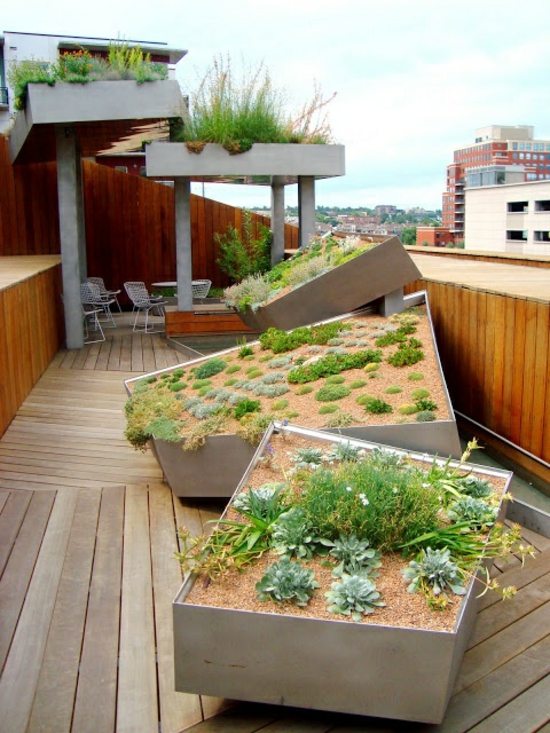 Balcony plants gardening design ideas