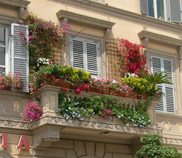 Balcony wooden lattice creeping plants flowerpots
