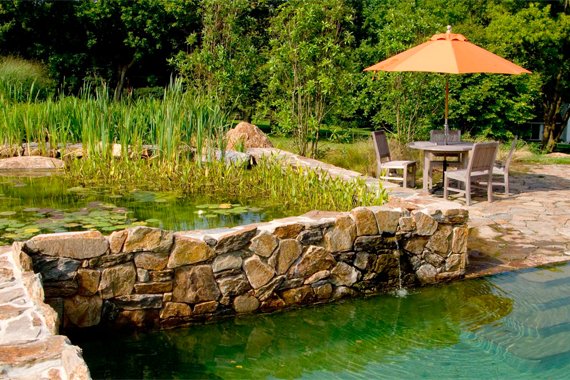 Bio swimming pond garden fountain different levels