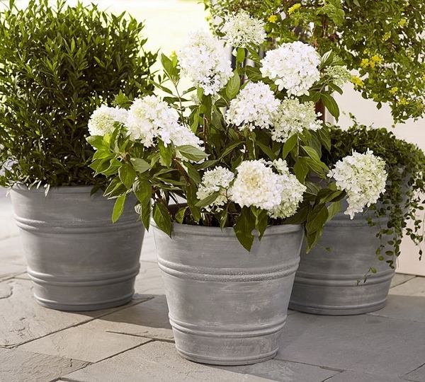  for spring old buckets decoration beautiful flowers