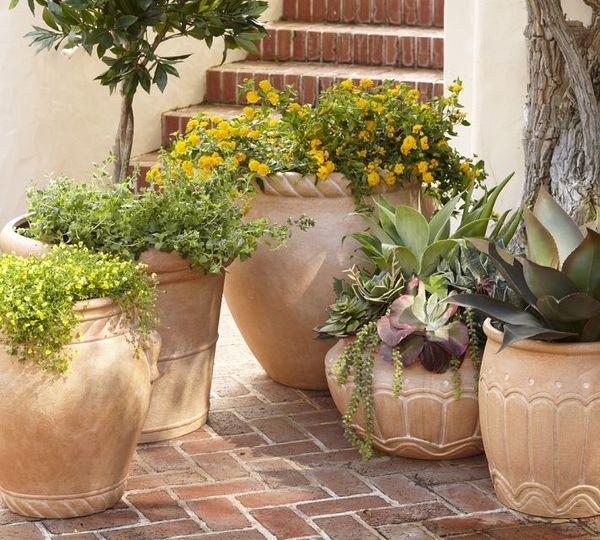Decorating ideas for spring plant vessels plants flowers yellow