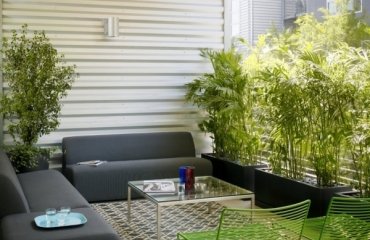 bamboo-plant-balcony-planters-privacy-protection-idea