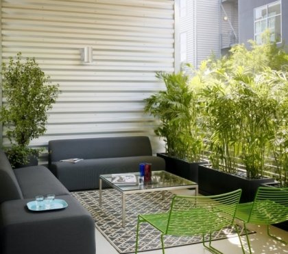bamboo-plant-balcony-planters-privacy-protection-idea