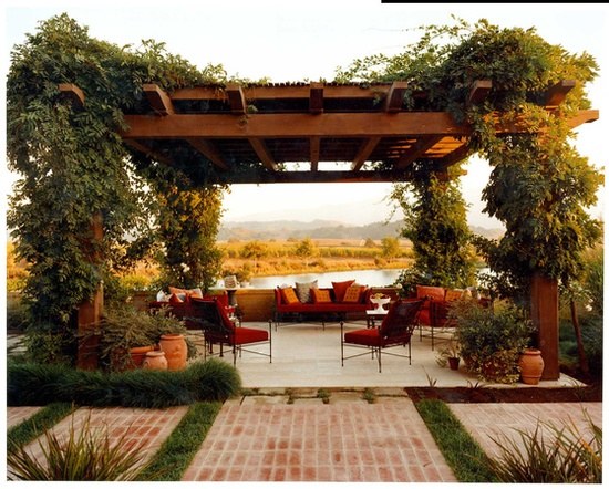 creeping plants wooden pergola privacy protection