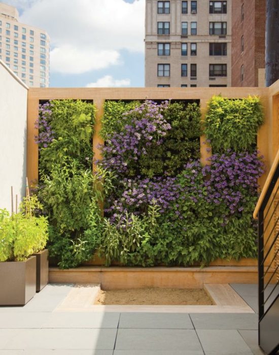 planted wall balcony design ideas rooftop deck design