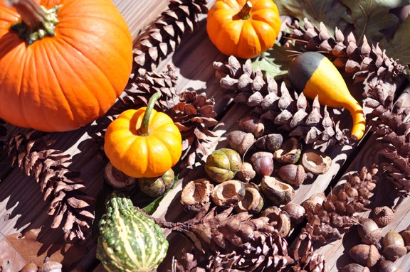 autumn decoration ideas DIY crafts