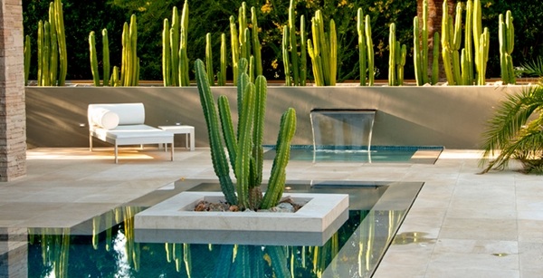 water features in garden luxury house plants green white