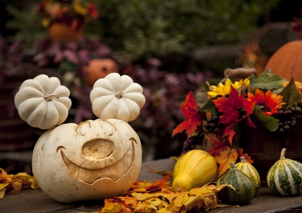 ute-pumpkin faces ideas easy pumkin carving ideas Halloween party decorating