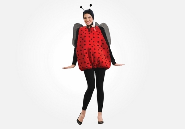  ideas lady bug costume