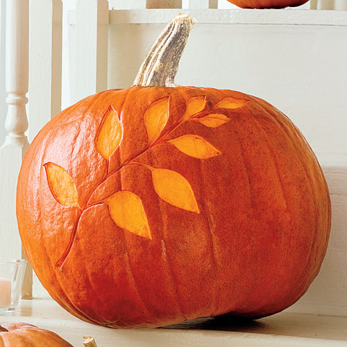 pumpkin-carving-tools-pumpkin design ideas branch pumpkin