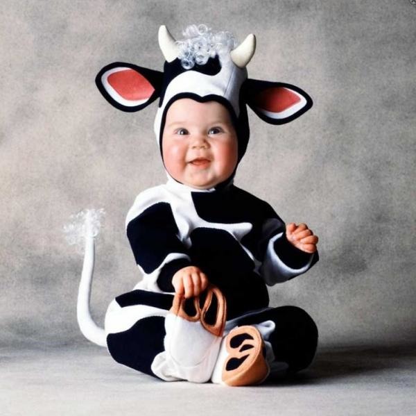the cutest  baby animal suits