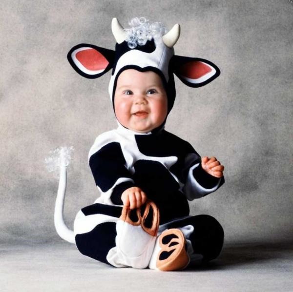 the cutest baby animal suits