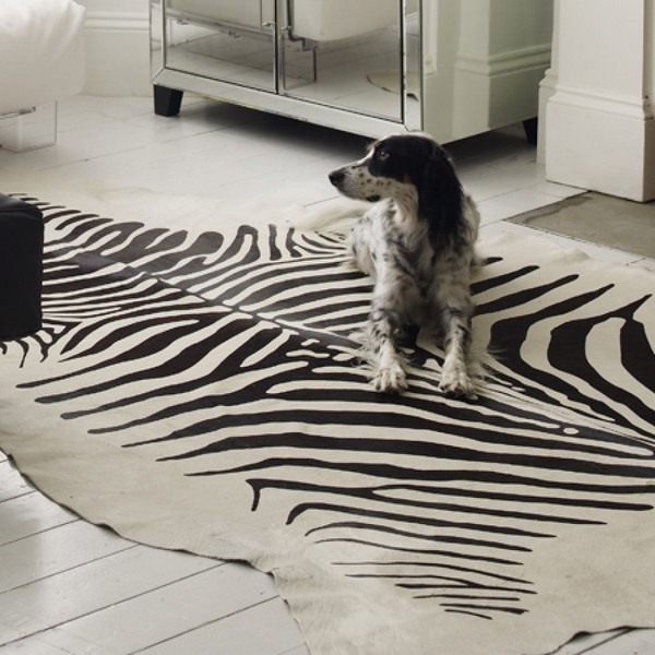 zebra rug floor decoration ideas white wooden floor