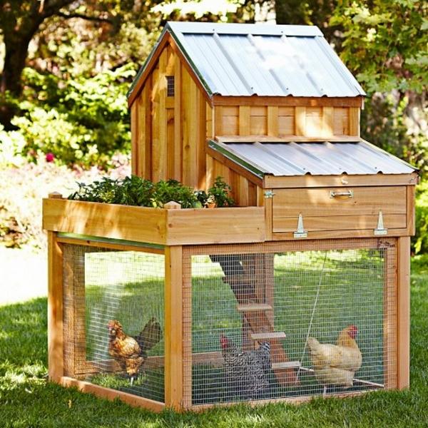 Cedar chicken green roof backyard coop 