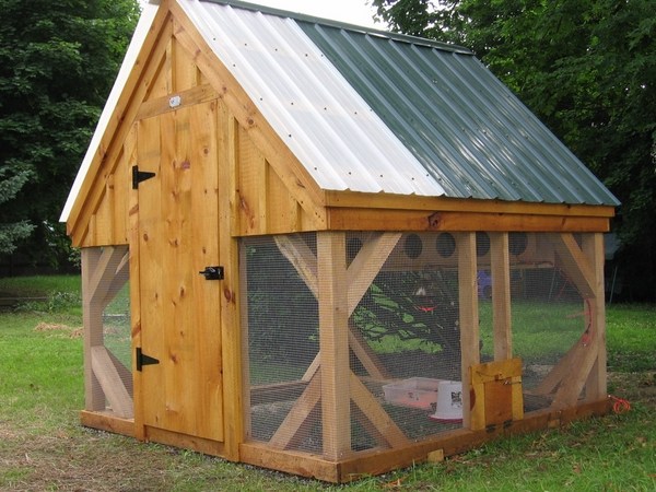 Chicken coop design ideas wood mesh