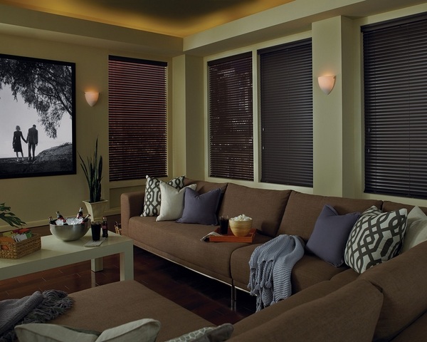 Contemporary home theater window blinds