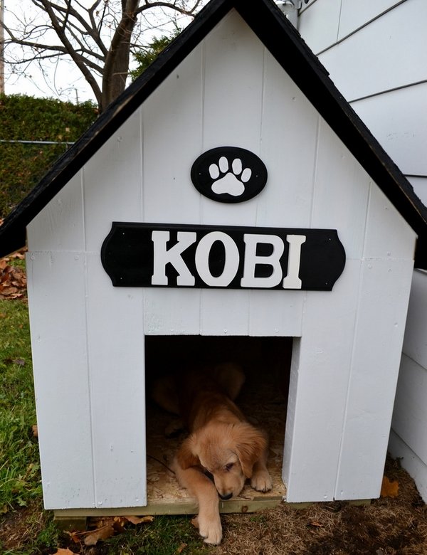 Traditional dog house outdoor doghouse