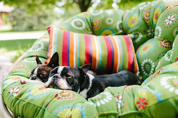 comfortable patio furniture ideas colorful cushions