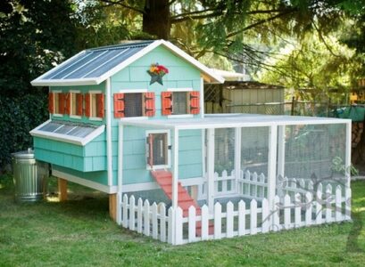 cool-chcicken-coop-plans-ideas-backyard-coop-plans