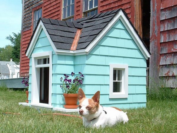 cute doghouse designs pictures pitched roof door window