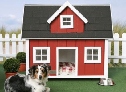 dog-house-designs-how-to-build-a-dog-house-ideas