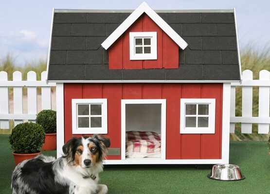 dog-house-designs-how-to-build-a-dog-house-ideas