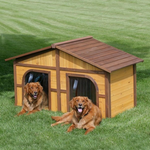 pet house ideas two dogs outdoor doghouses