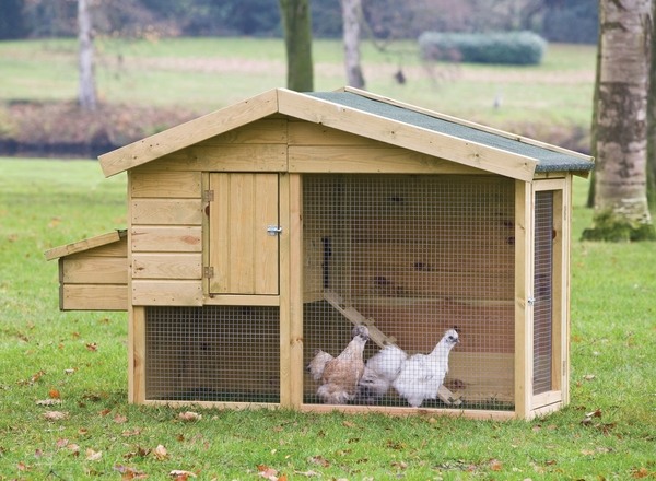 how to build a chicken coop small
