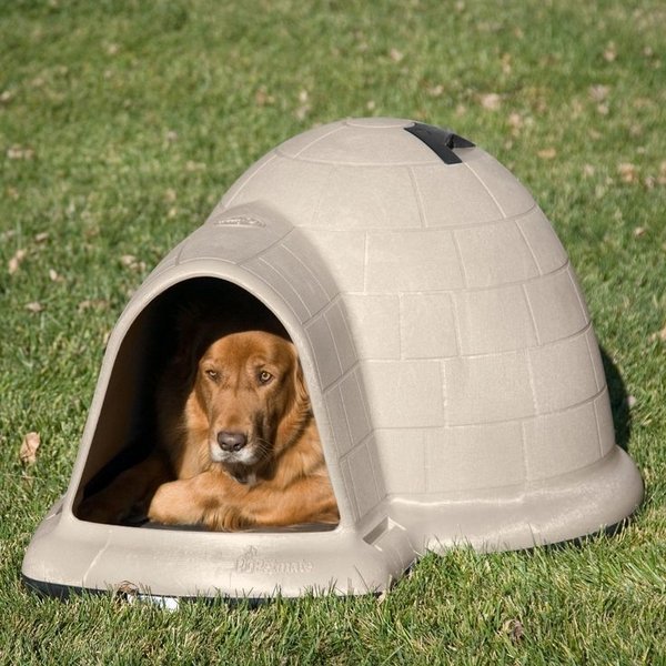 igloo dog house pros cons garden pet house