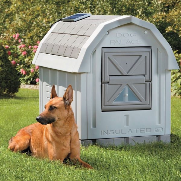 Dog house ideas – your pet deserves a really cool home