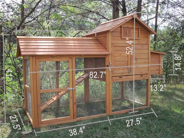 large backyard coop plan design idea