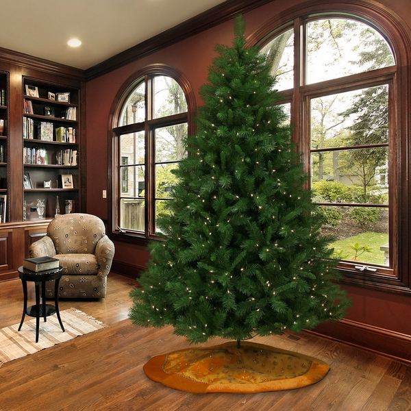 Dunhill fir Christmas tree