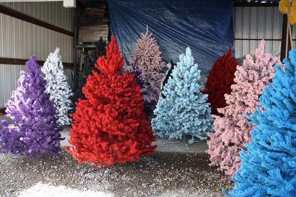 colorful artificial trees flocked christmas trees