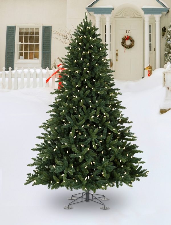 what-is-the-best tree outdoor christmas decorations