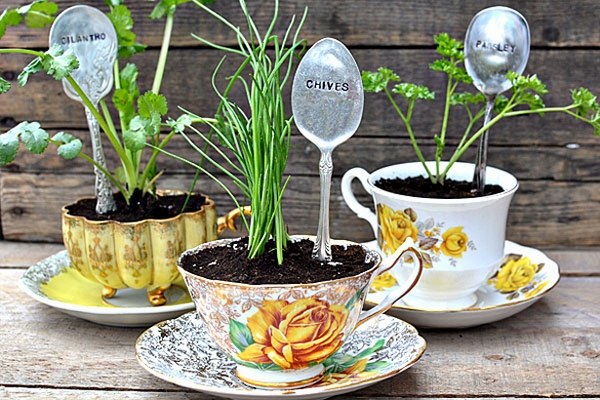DIY charming indoor garden tea cups