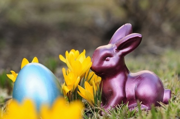 Decoration bunny Easter garden purple blue egg 