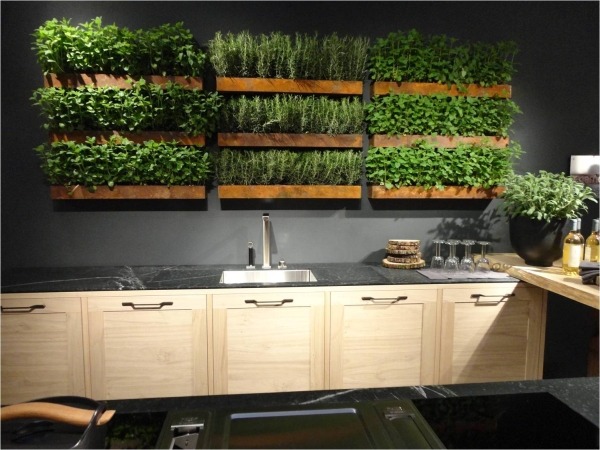 Indoor herbs kitchen ideas vertical