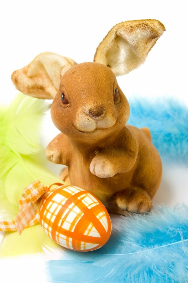 cute bunny decoration ideas bunny egg