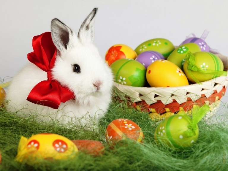 bunny wallpaper eggs