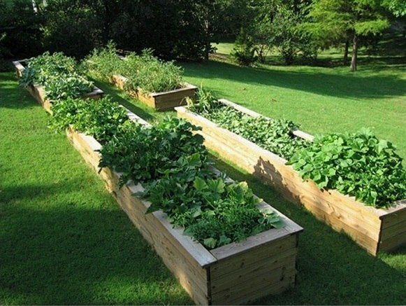 how to build a raised garden bed construction tips design ideas