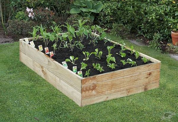 how to build a raised garden bed ideas design